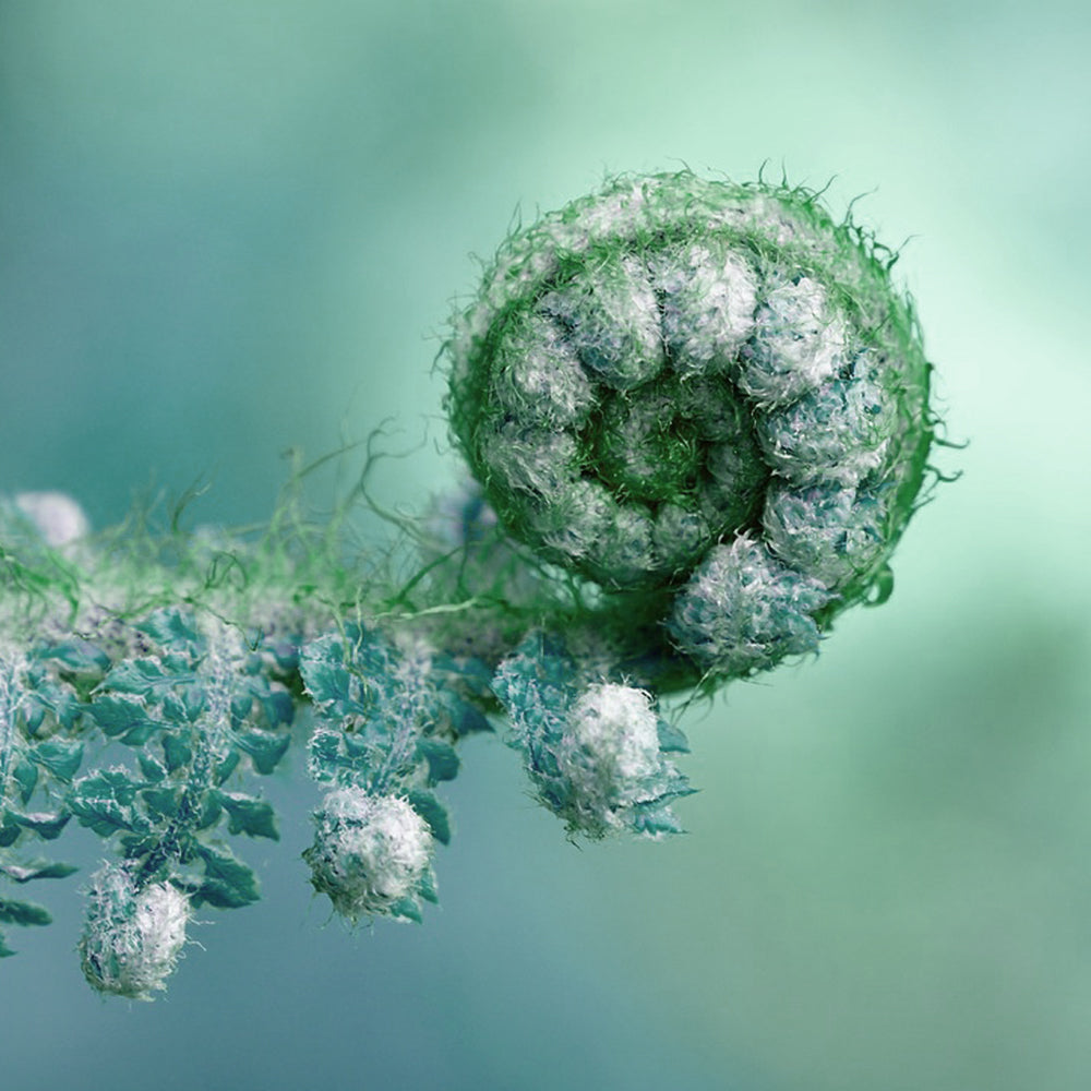 Large Spiral Earrings